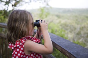 bird-watching