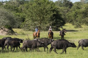 horseback300px