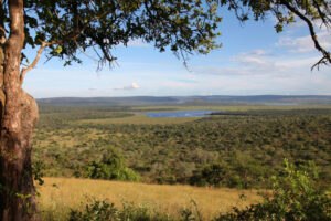 lakemburo3